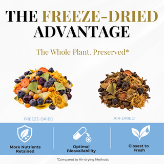 Eclectic Herb Eye Food Powder Freeze-dried herbs vs. air-dried herbs. The freeze-Dried advantage, the whole plant preserved, more nutrients retained, optimal bioavailability, and closest to fresh
