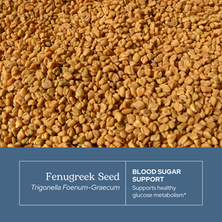 Bottle of organic fenugreek capsules for lactation, digestion, and metabolic support
