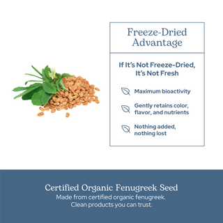 Organic fenugreek capsules for lactation, digestion, and metabolic support