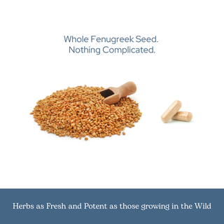 Fenugreek capsules for lactation, digestion, and metabolic support made from organic US-grown raw fenugreek seeds in vegan capsules