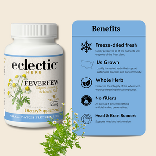 Feverfew