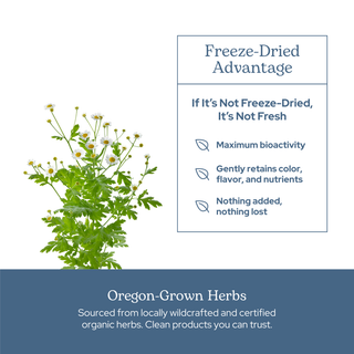 Feverfew capsules supporting head tension and circulation, made from US-grown organic freeze-dried feverfew, vegan and non-GMO