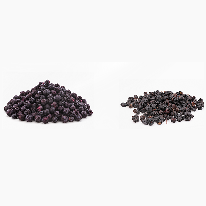 Eclectic Herb Freeze-dried vibrant  Bilberry vs. air dry dull Bilberry
