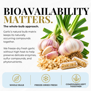 Garlic Capsules