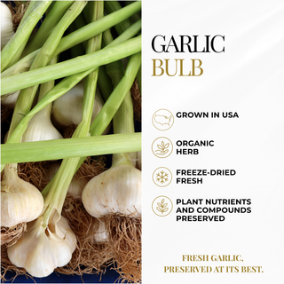 Garlic Capsules