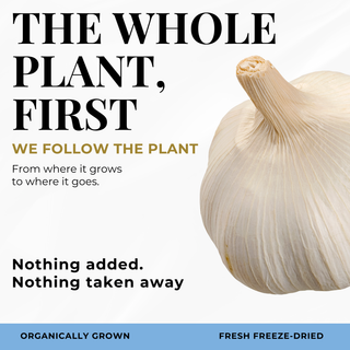 Garlic Capsules