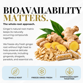 Ginger Capsules