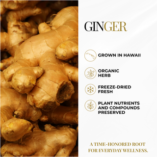 Ginger Capsules