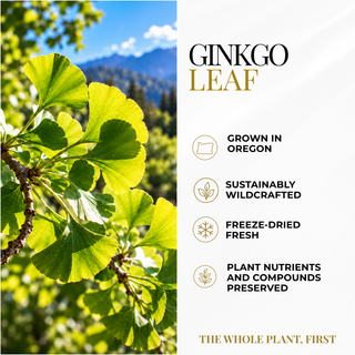 Ginkgo Capsules