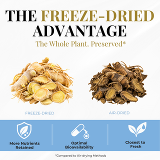 Eclectic Herb Freeze-dried Goldenseal vs. air-dried Goldenseal. The freeze-Dried advantage, the whole plant preserved, more nutrients retained, optimal bioavailability, and closest to fresh