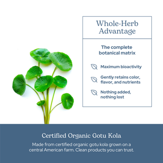 Gotu Kola capsules for memory, cognitive support, circulation, and nervous system wellness with organic, non-GMO, vegan ingredients