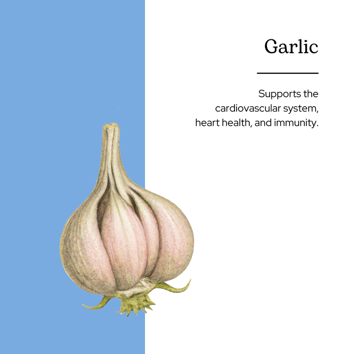 Garlic Capsules