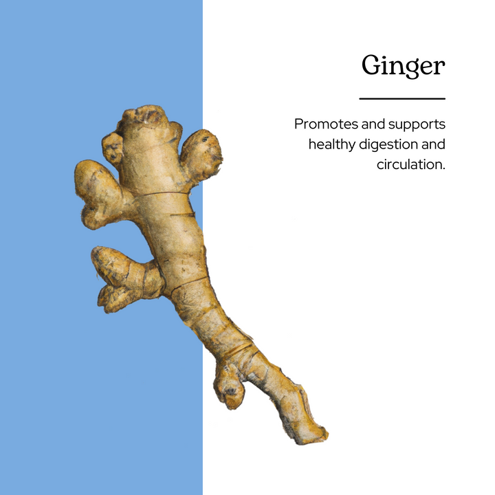 Ginger Capsules