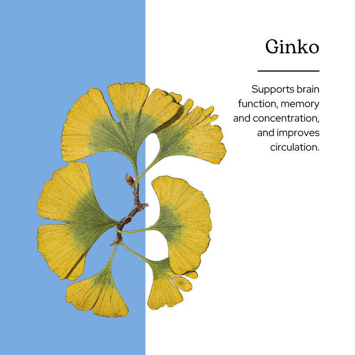 Ginkgo Capsules