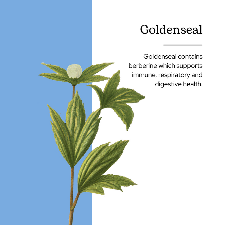 Goldenseal Capsules