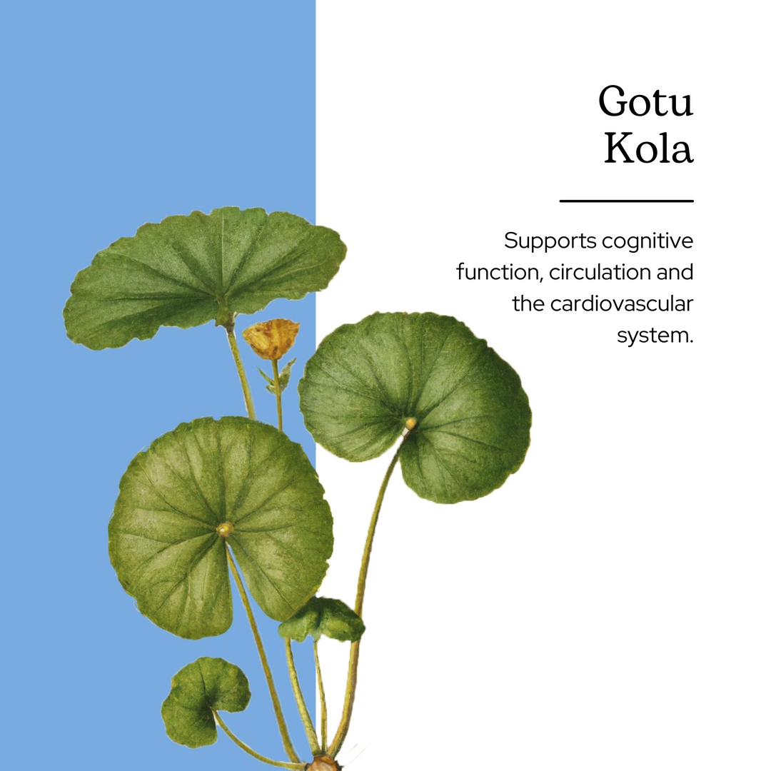 Gotu Kola Capsules