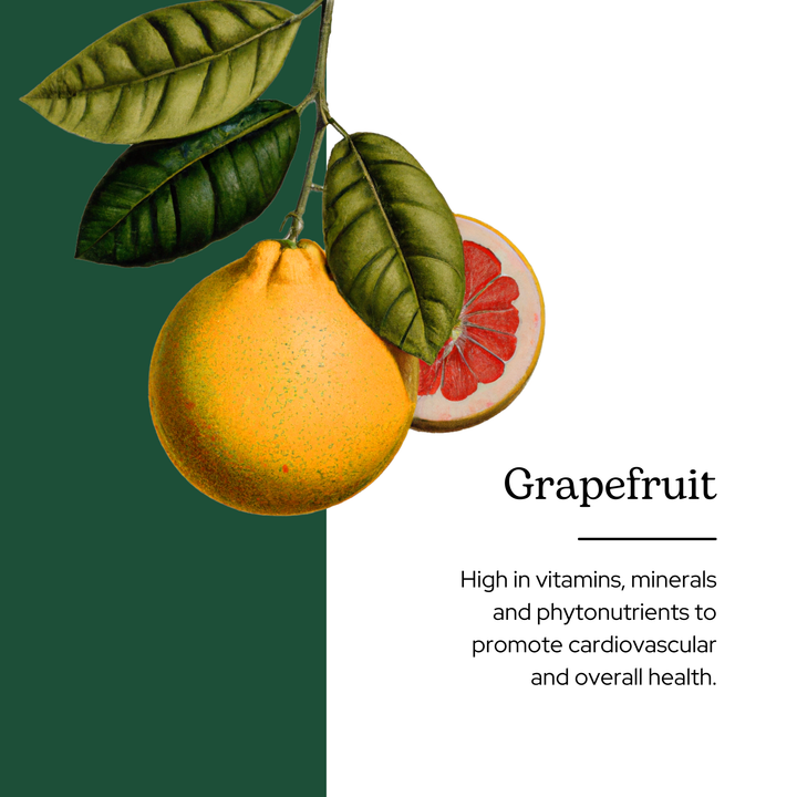 Grapefruit Powder