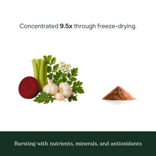 HBP Complete Powder supplement with beet, celery, garlic, parsley, hawthorn, dandelion, and rosemary for healthy blood pressure and heart support
