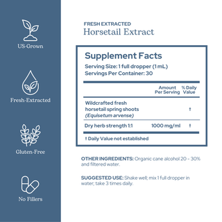 Horsetail Extract