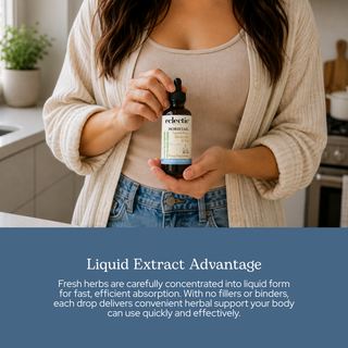 Horsetail Extract