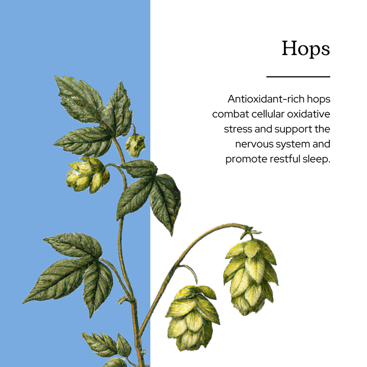 Hops Capsules