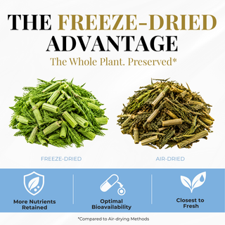 Eclectic Herb Horsetail Capsules Freeze-dried Horsetail vs. air-dried Horsetail. The freeze-Dried advantage, the whole plant preserved, more nutrients retained, optimal bioavailability, and closest to fresh