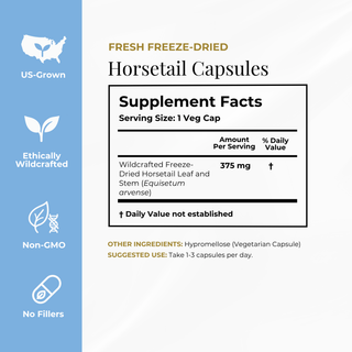 A supplement facts panel for Fresh Freeze-Dried Horsetail Capsules, showing a supplement facts label with serving size 1 Veg Cap and 375 mg of wildcrafted freeze-dried horsetail leaf and stem. The left side has a blue vertical banner with white icons and text reading US-Grown, Ethically Wildcrafted, Non-GMO, and No Fillers.