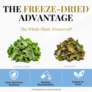 Eclectic Herb Freeze-dried Kale vs. air-dried Kale. The freeze-Dried advantage, the whole plant preserved, more nutrients retained, optimal bioavailability, and closest to fresh