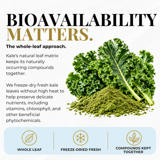 Eclectic Herb Kale – Bioavailability Matters: Freeze-Dried Kale vs. Air-Dried Kale. Preserve whole-leaf integrity, retain more nutrients, support optimal bioavailability, and stay closer to fresh.