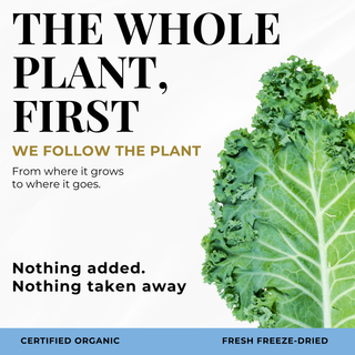 Eclectic Herb Kale graphic highlighting whole-plant nutrition with nothing added and nothing taken away.