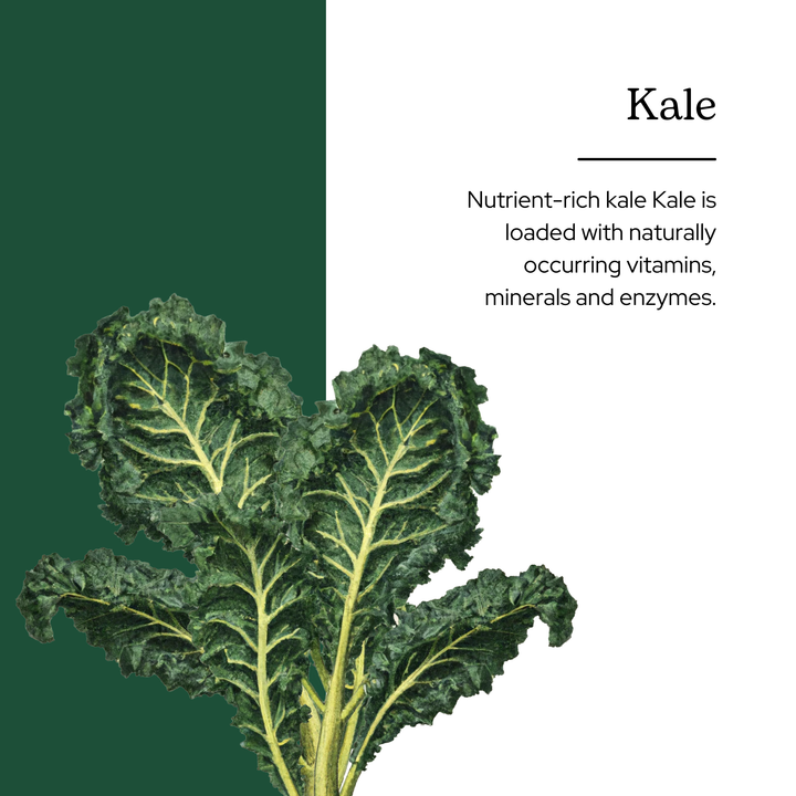 Kale Powder