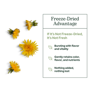 Liver and gallbladder support powder with milk thistle, beet, dandelion, turmeric, nettle, cinnamon, and burdock for natural detox and digestive wellness