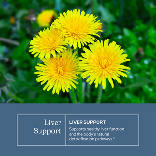 Bottle of liver support extract with milk thistle, dandelion, red root, and Oregon grape herbs for natural detox and liver health