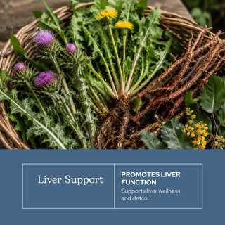 Bottle of naturopathic liver support glycerite with traditional herbs like Milk Thistle and Dandelion