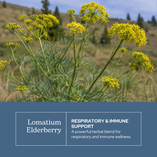 Lomatium Elderberry Throat Spray
