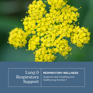 Lung and Respiratory Support Throat Spray