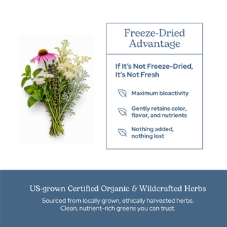 Lymph & Blood Cleanse Capsules