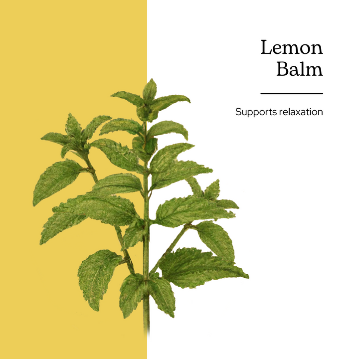 Lemon Balm Kids