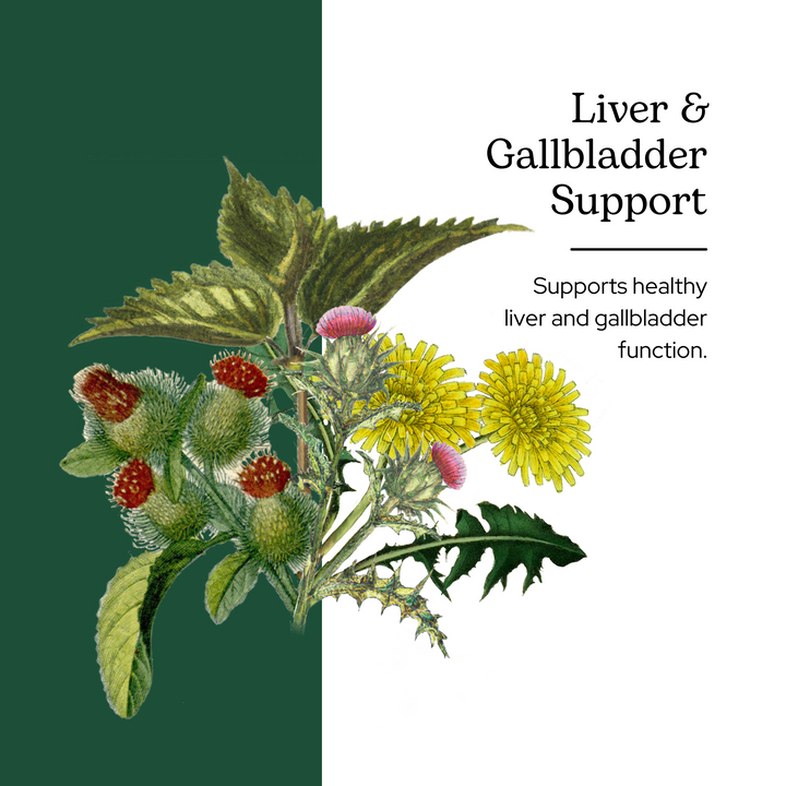 Liver and Gallbladder Support Powder