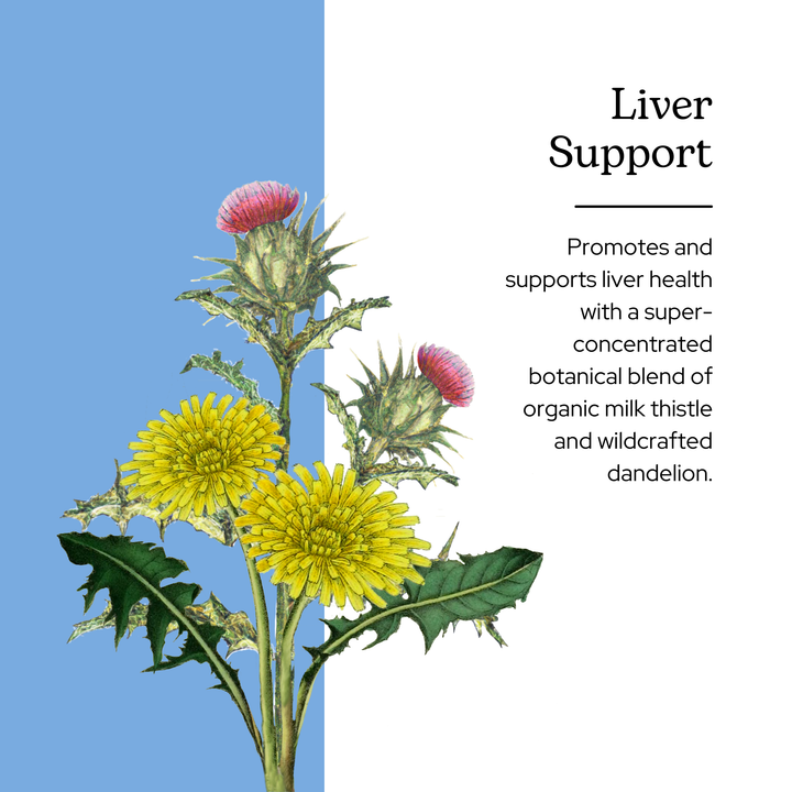 Liver Support Capsules