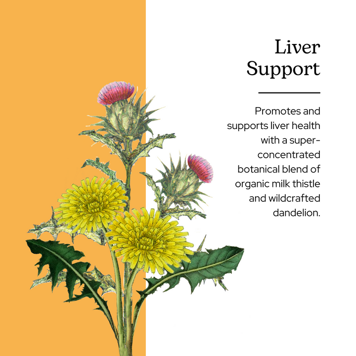 Liver Support Glycerite