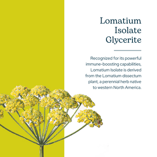 Lomatium Isolate
