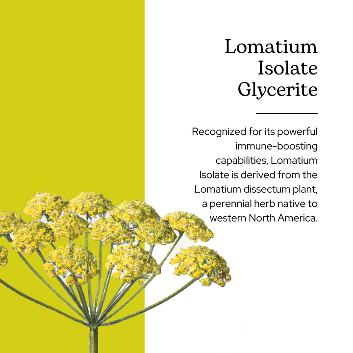 Lomatium Isolate Glycerite