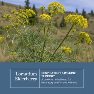Lomatium Elderberry Throat Spray