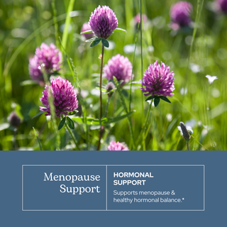 Menopause Support Capsules