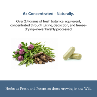 Menopause Support Capsules