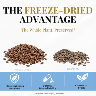 Milk Thistle Capsules