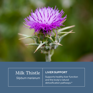 Milk Thistle Extract