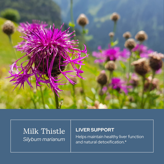 Milk Thistle Glycerite bottle highlighting liver detox support and natural silymarin antioxidant from organic seeds.