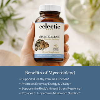 Mycetoblend Mushroom Capsules with organic full-spectrum mushrooms for immune and cellular support
